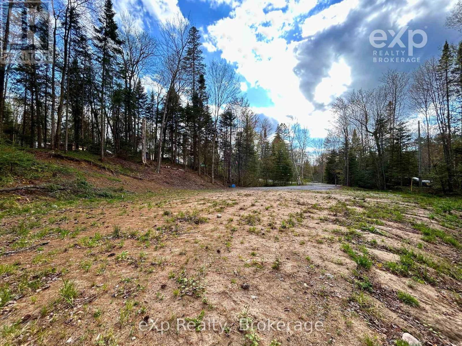 468 BALSAM CHUTES ROAD Image 4