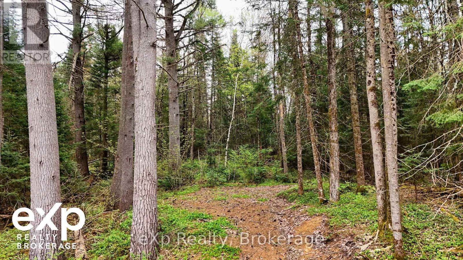 468 BALSAM CHUTES ROAD Image 7