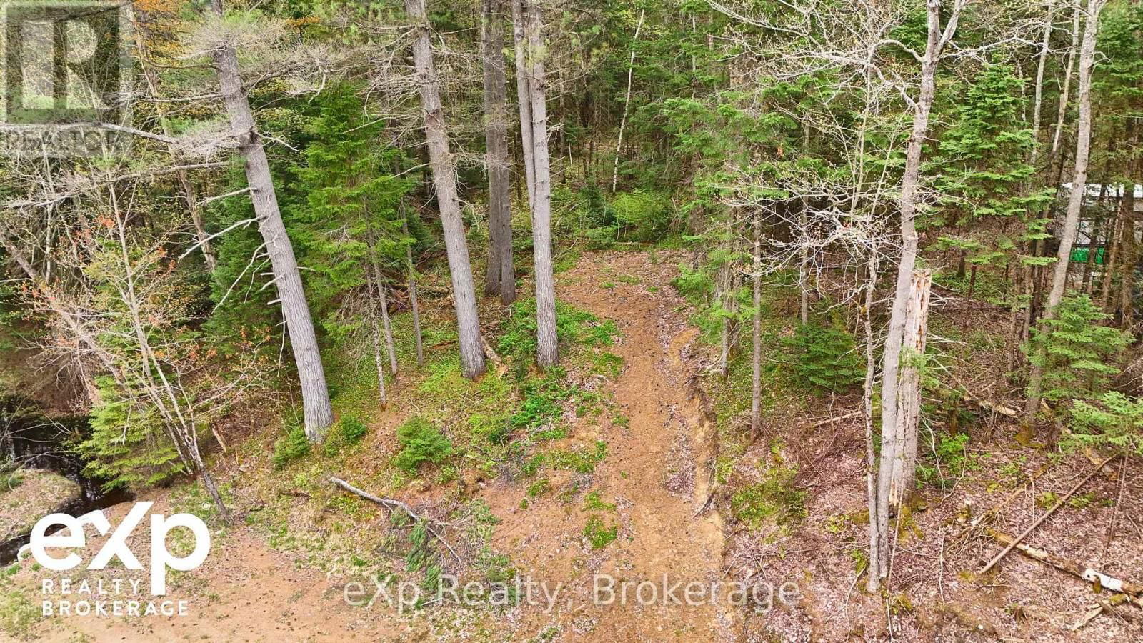 468 BALSAM CHUTES ROAD Image 8
