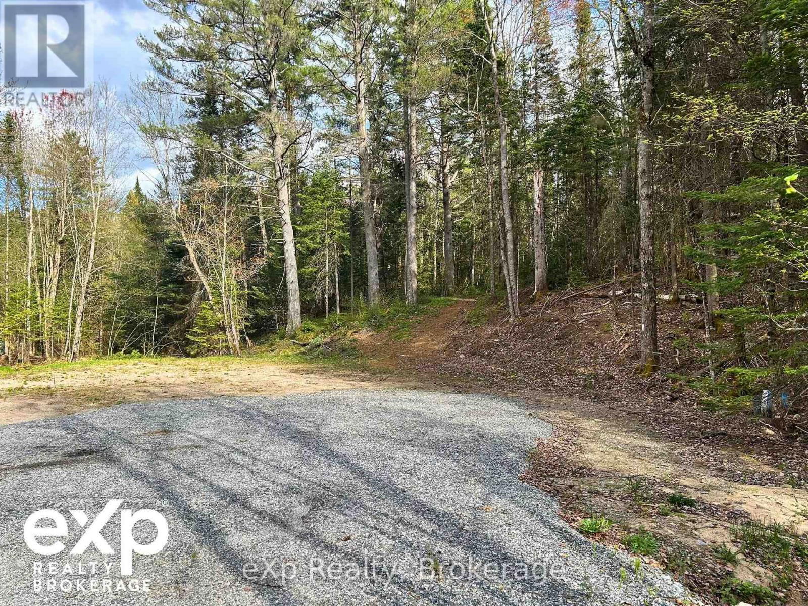 468 BALSAM CHUTES ROAD Image 9