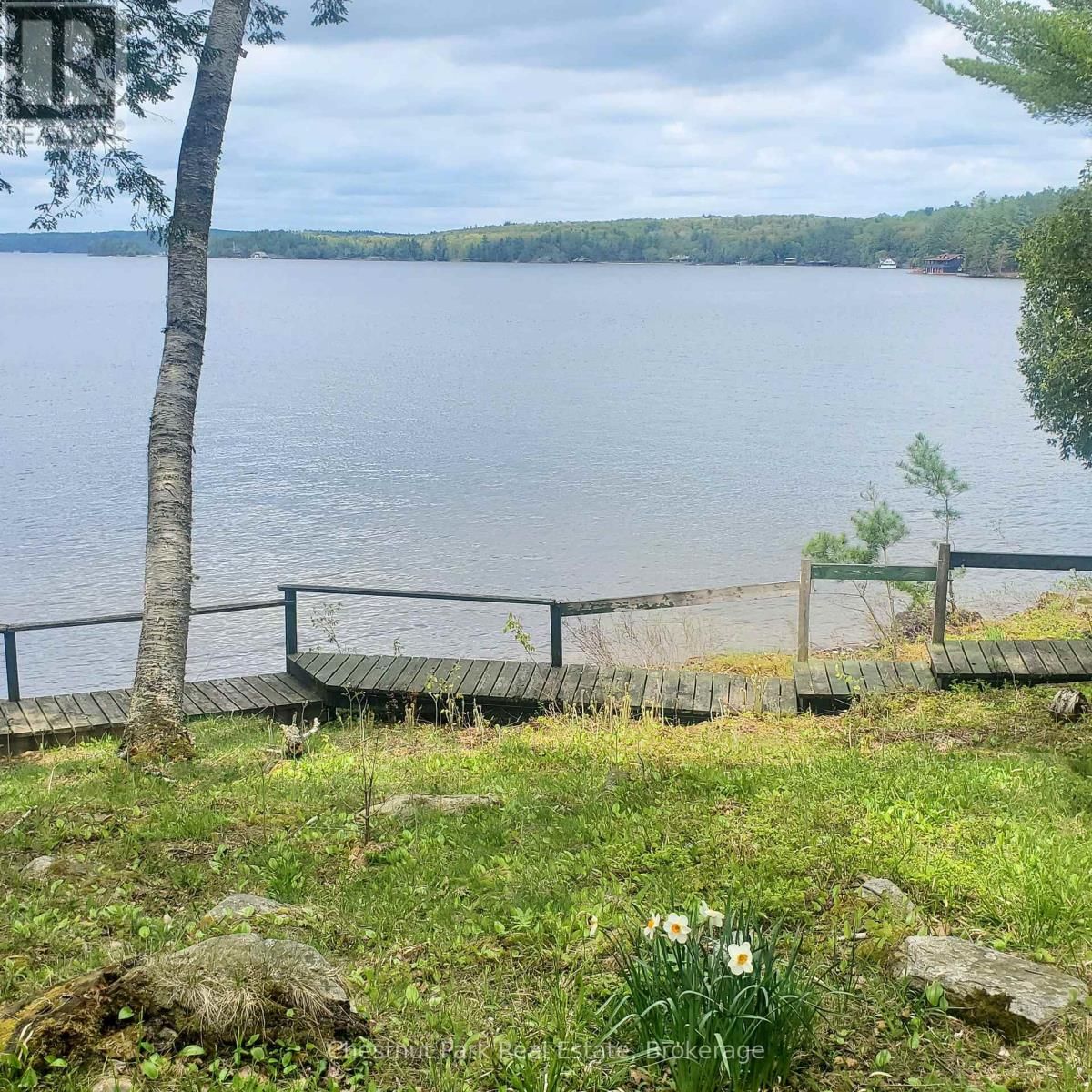 76 TOBIN ISLAND Image 3