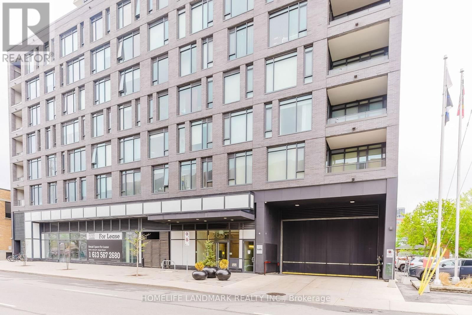 507 - 203 CATHERINE STREET Image 2