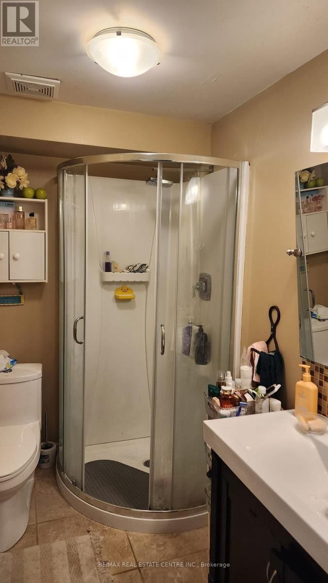 127 SILURIAN (BASEMENT) DRIVE Image 17
