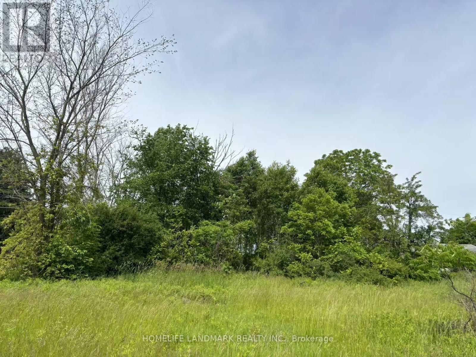 1146 BLUELINE ROAD Image 2