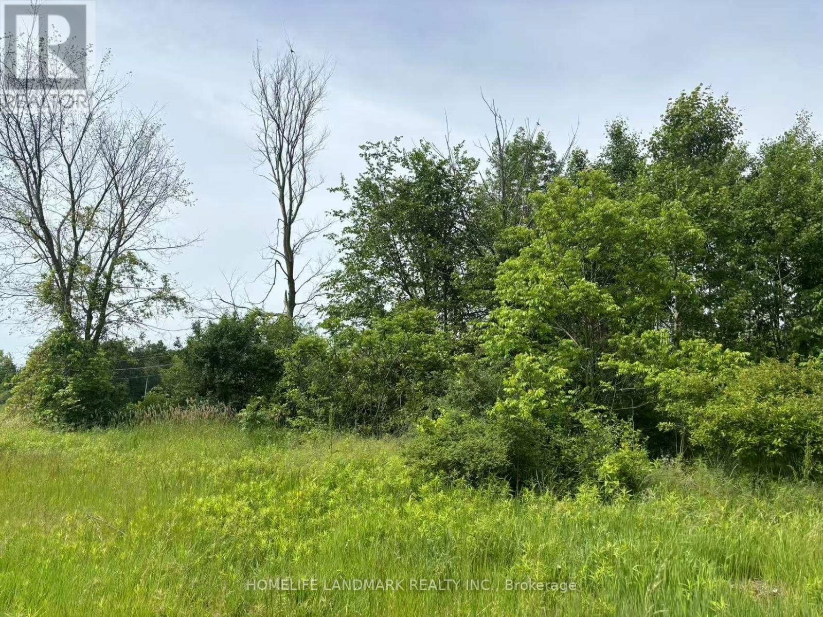 1146 BLUELINE ROAD Image 3