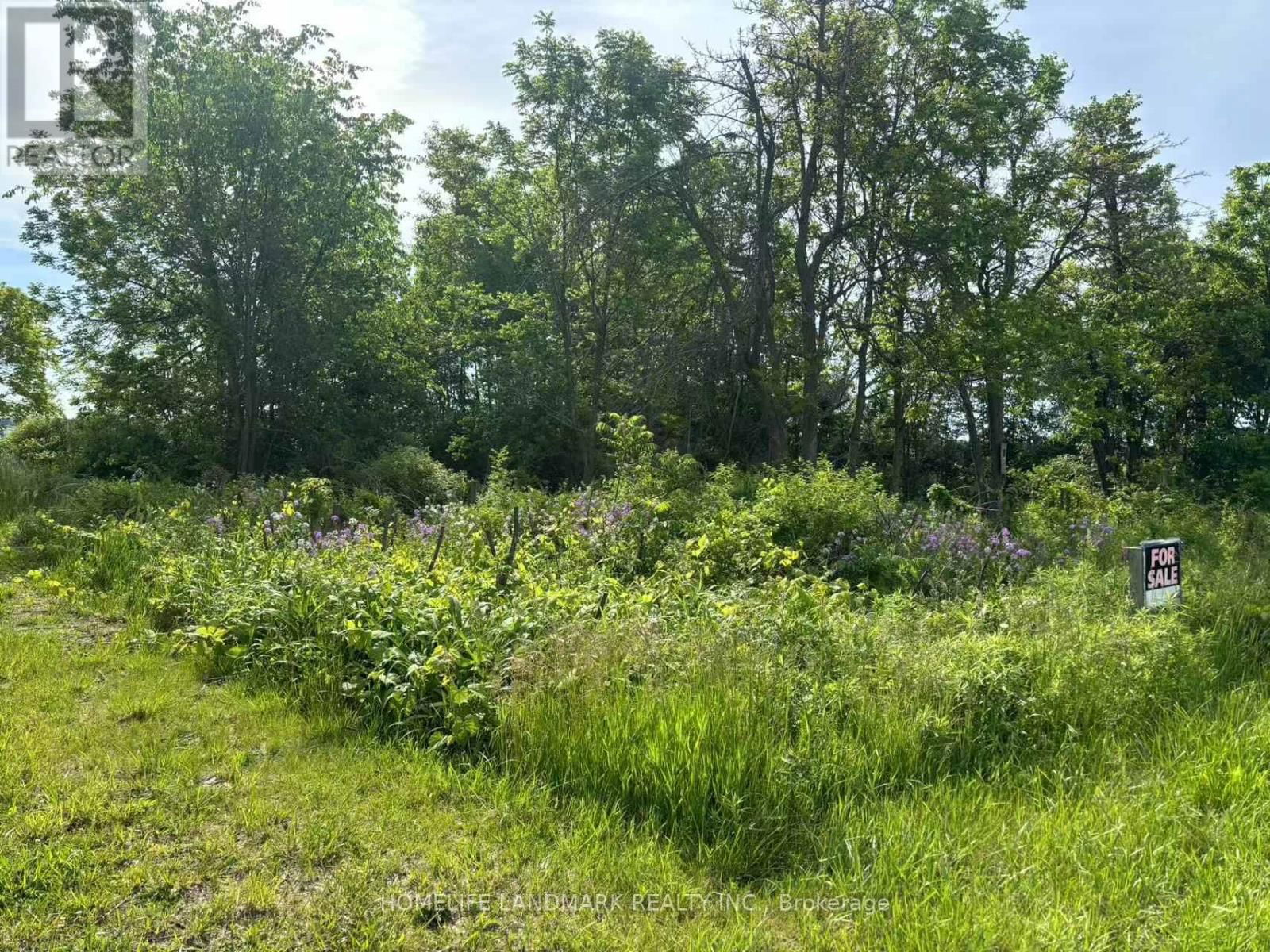 1146 BLUELINE ROAD Image 4