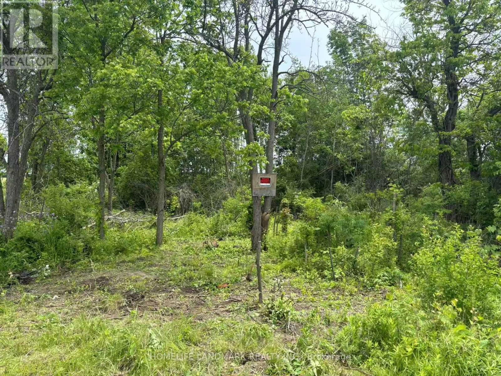 1146 BLUELINE ROAD Image 5