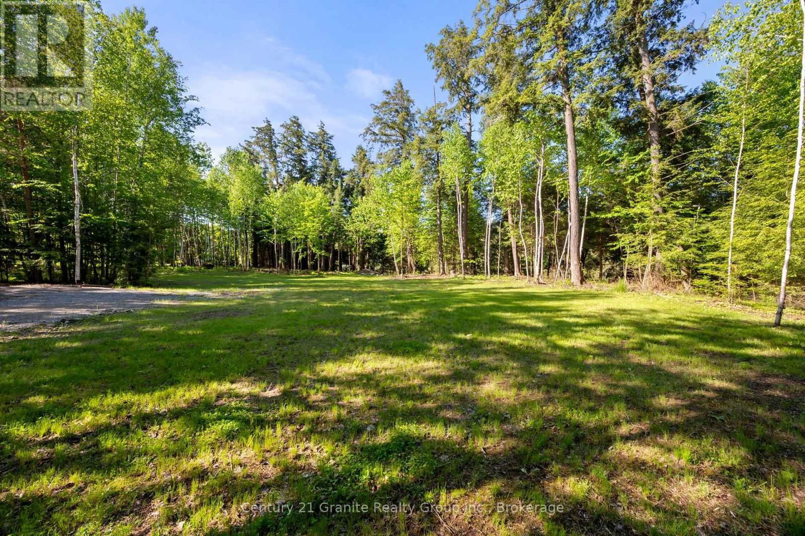 1042 SUBURBAN COURT Image 5
