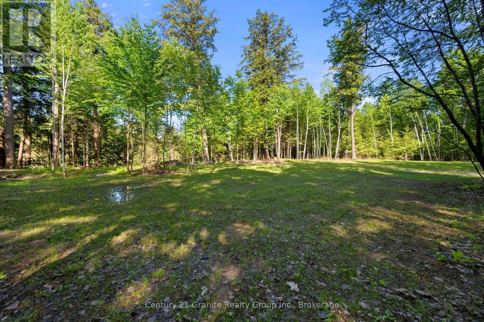 1042 SUBURBAN COURT Image 8