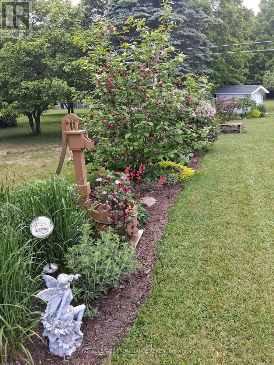 1602 OLD MARMORA ROAD EAST Image 37