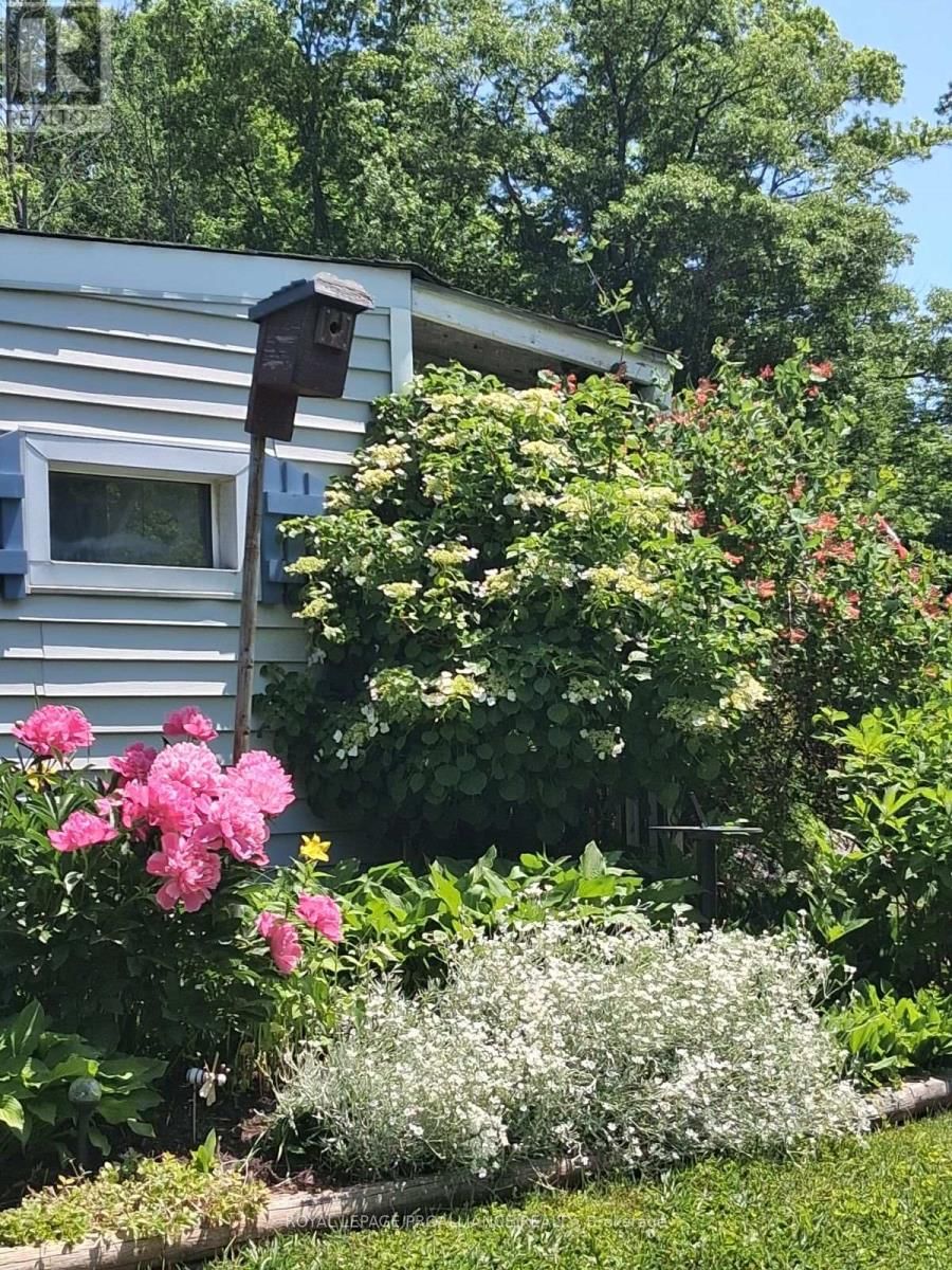 1602 OLD MARMORA ROAD EAST Image 6