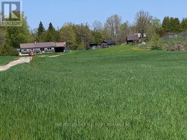 Tertiary Property View