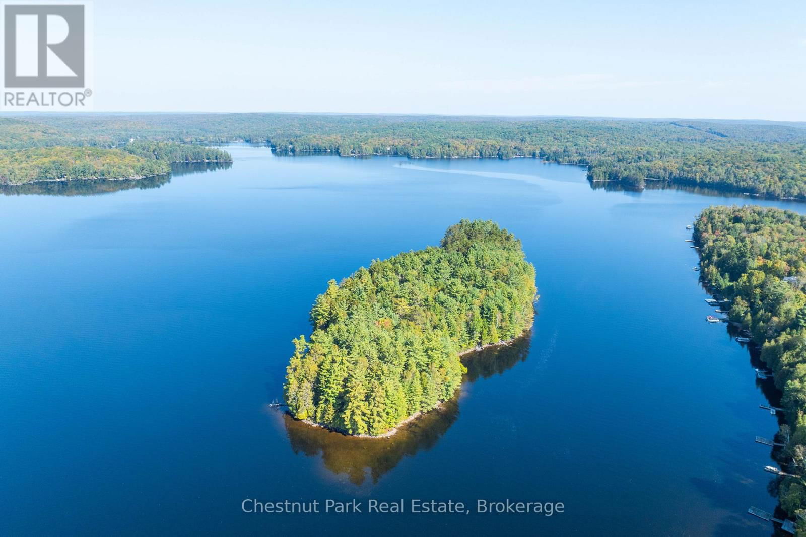 10000 SOYERS - BROWN ISLAND Image 1
