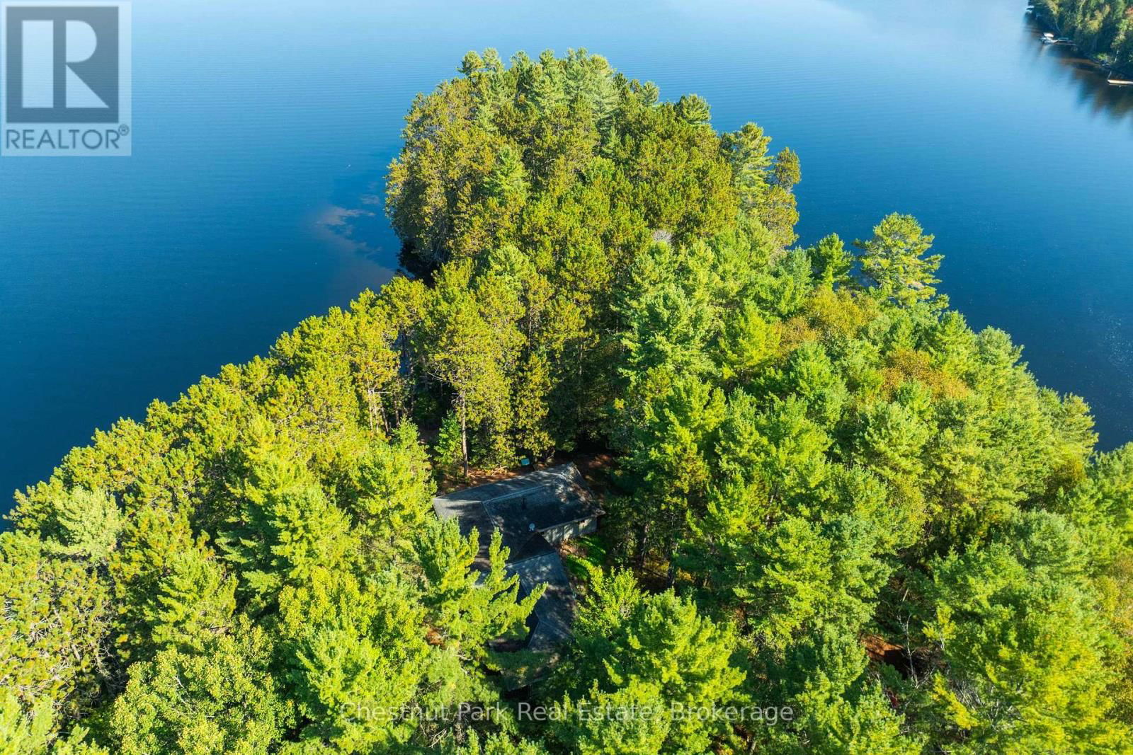 10000 SOYERS - BROWN ISLAND Image 2