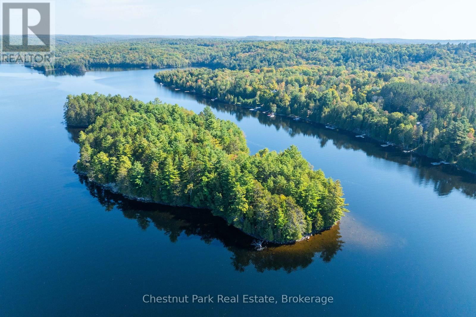 10000 SOYERS - BROWN ISLAND Image 28