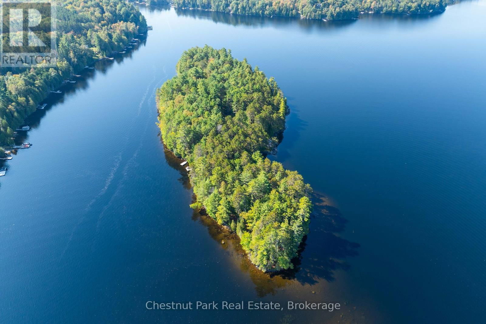 10000 SOYERS - BROWN ISLAND Image 29