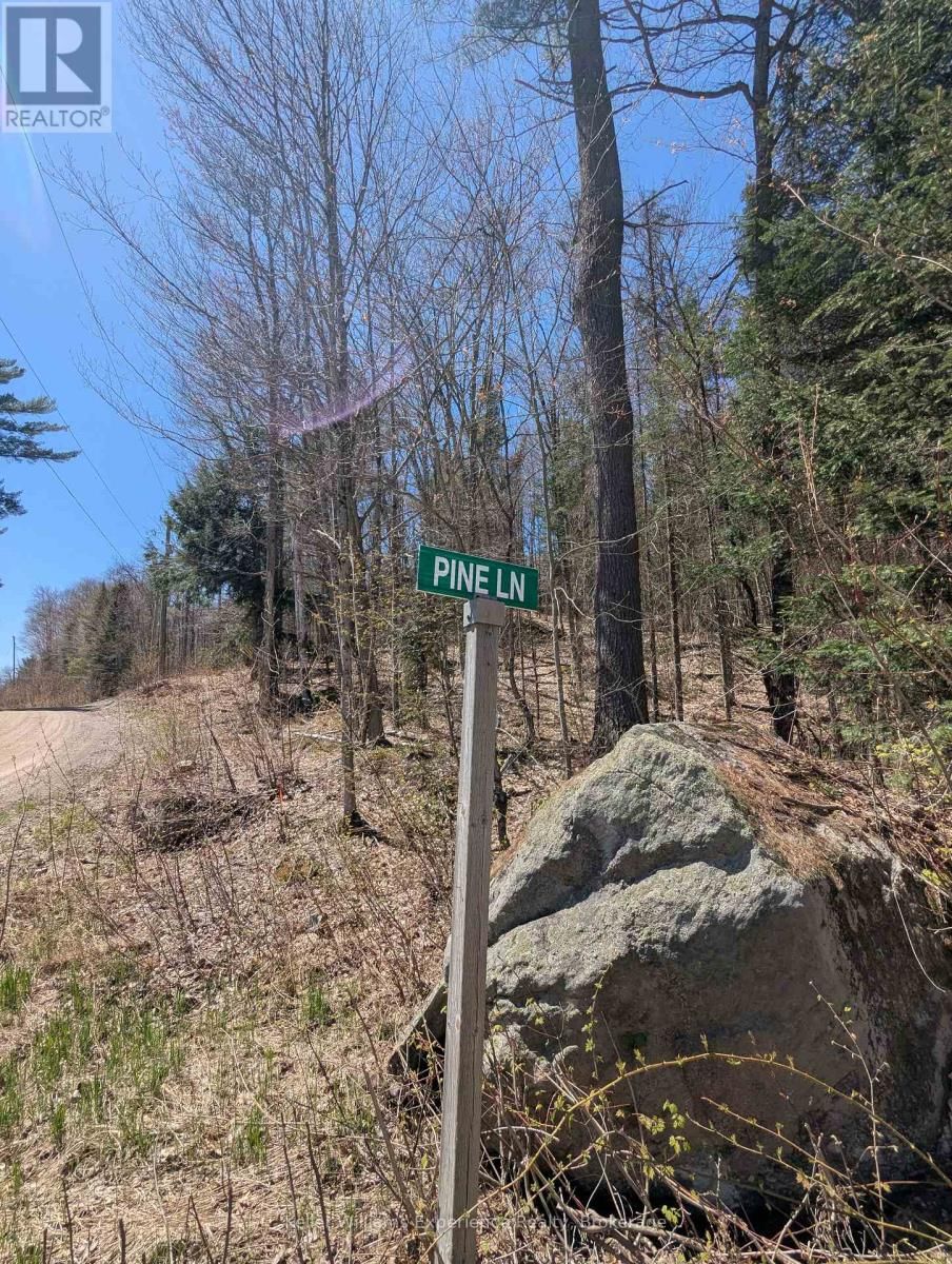 0 N PINE DRIVE Image 10