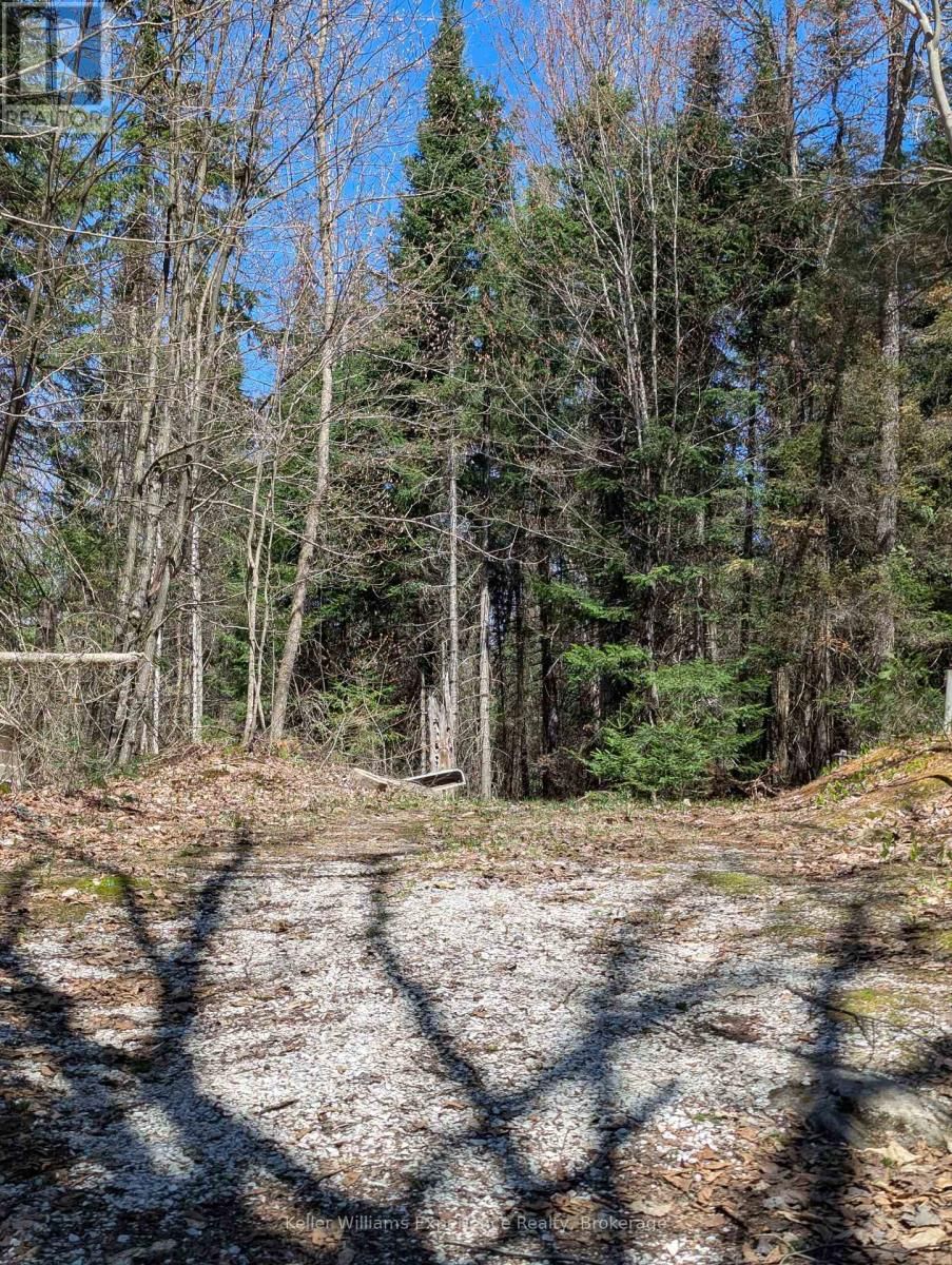 0 N PINE DRIVE Image 12