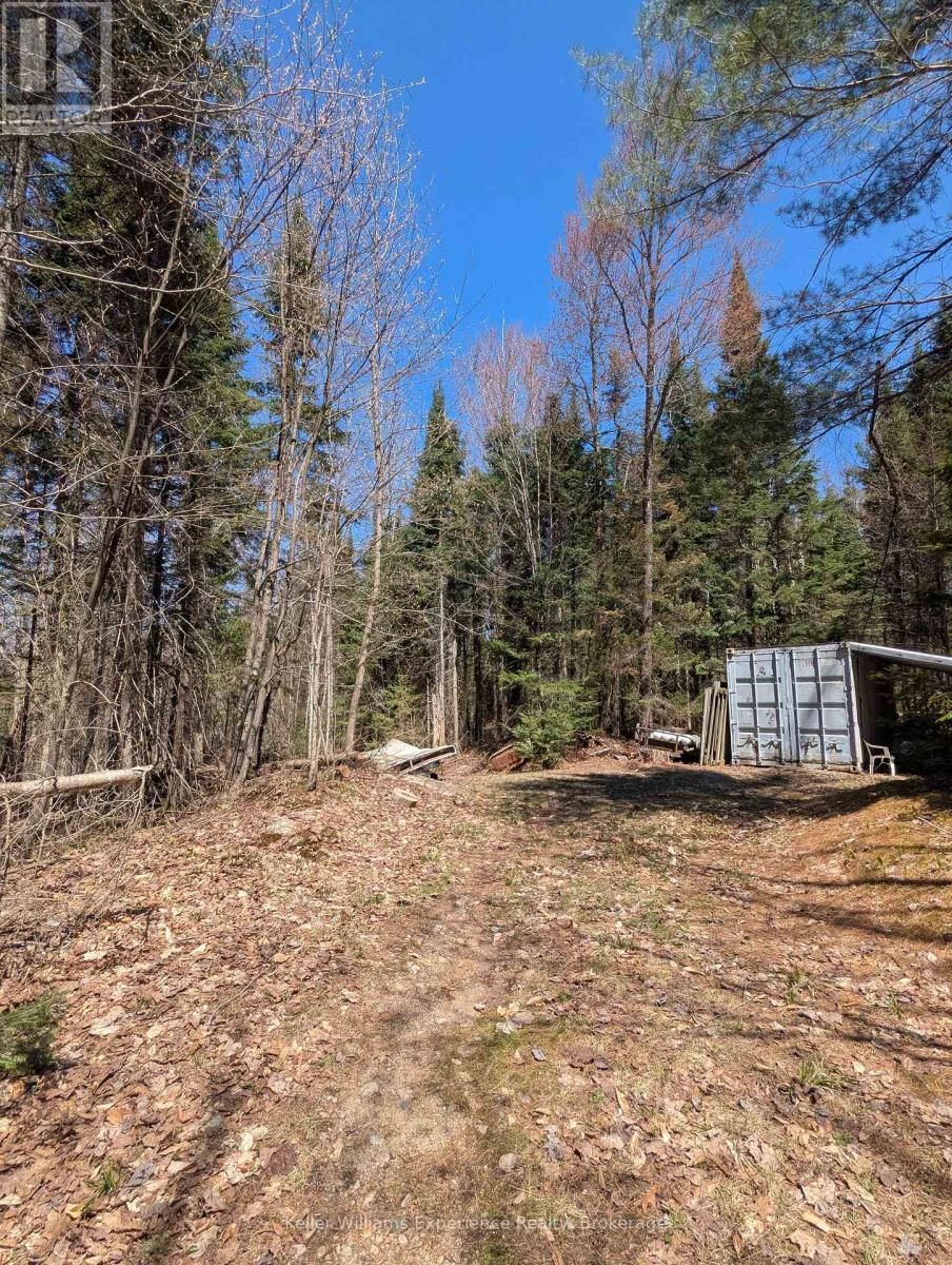 0 N PINE DRIVE Image 13