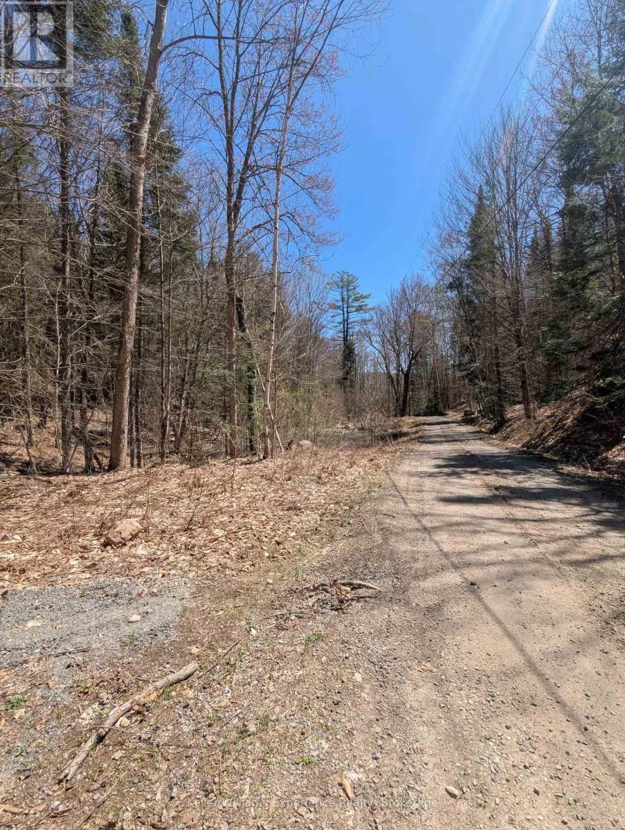 0 N PINE DRIVE Image 15