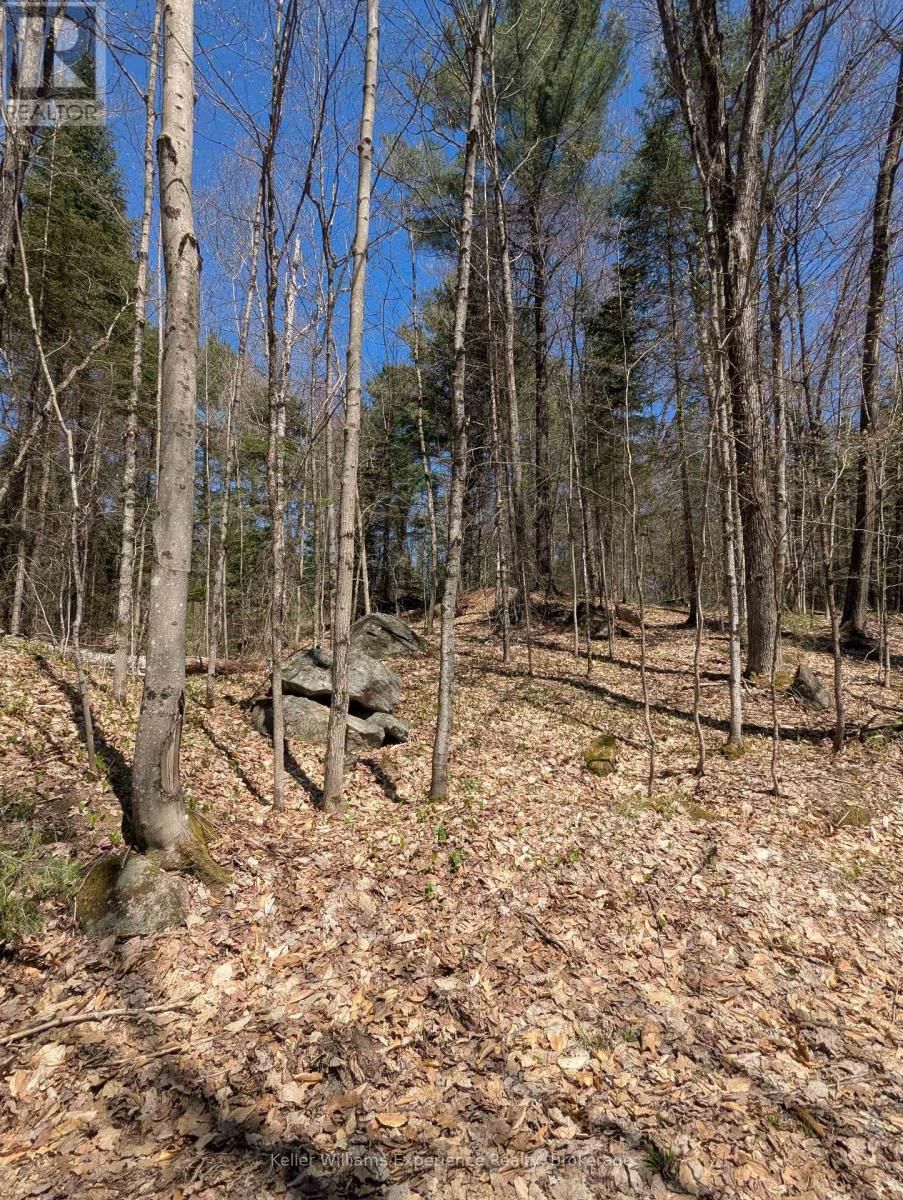 0 N PINE DRIVE Image 16