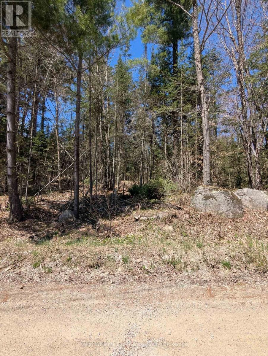 0 N PINE DRIVE Image 17