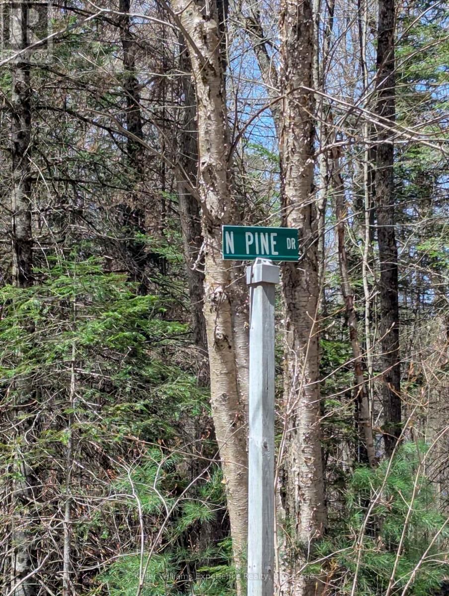 0 N PINE DRIVE Image 2