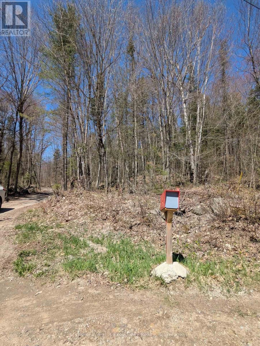0 N PINE DRIVE Image 3