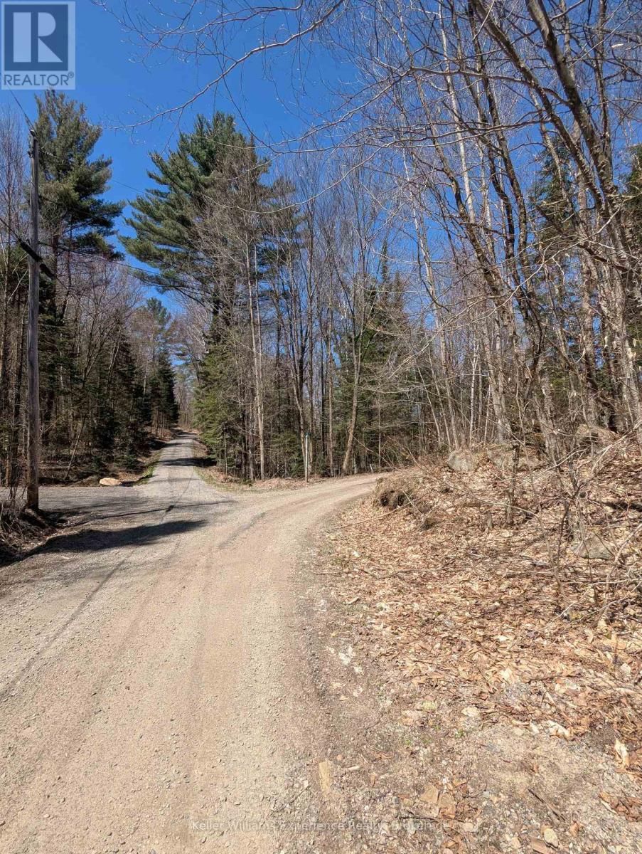 0 N PINE DRIVE Image 9