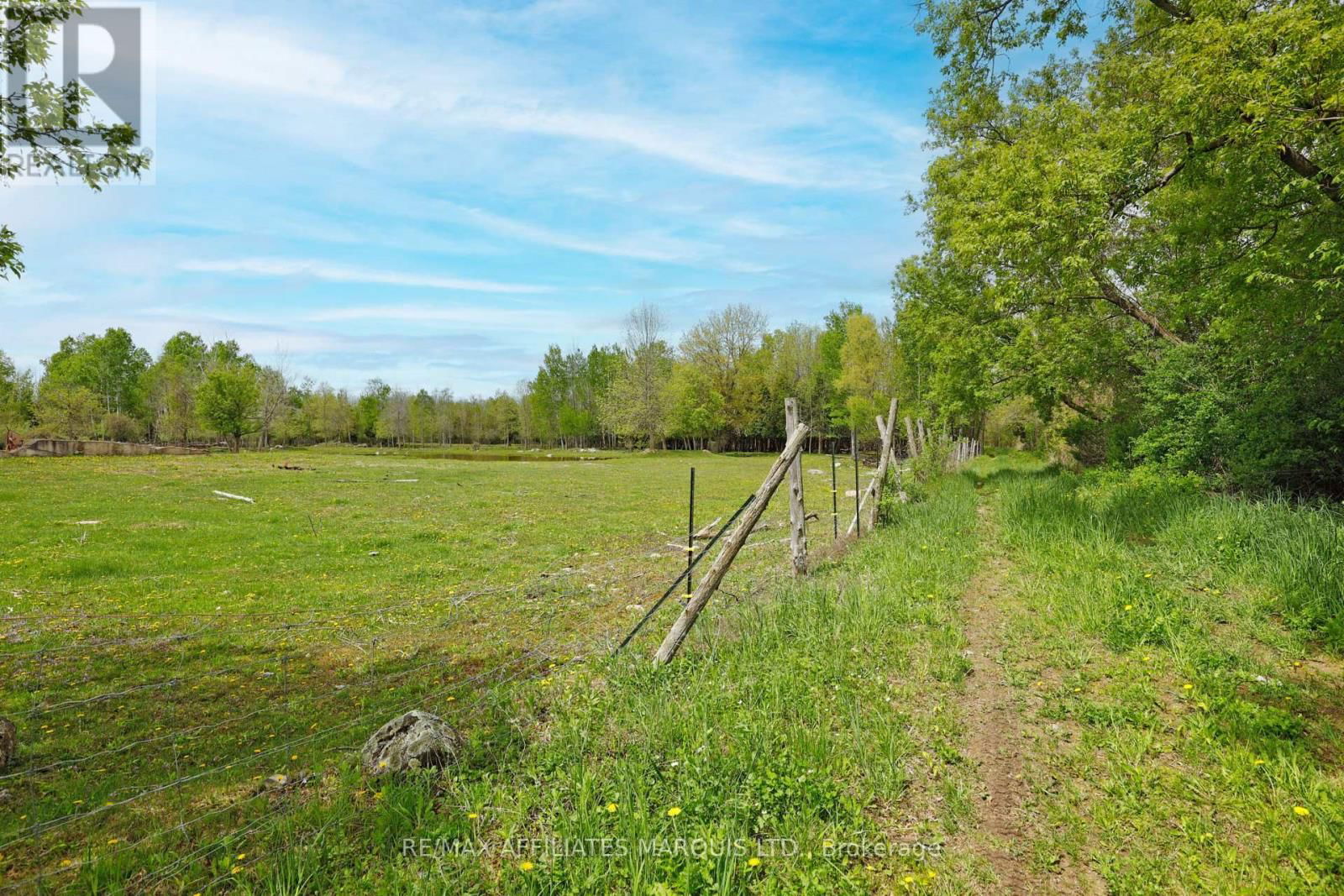 14059 DAFOE ROAD Image 32
