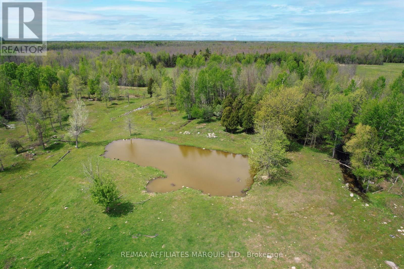 14059 DAFOE ROAD Image 39