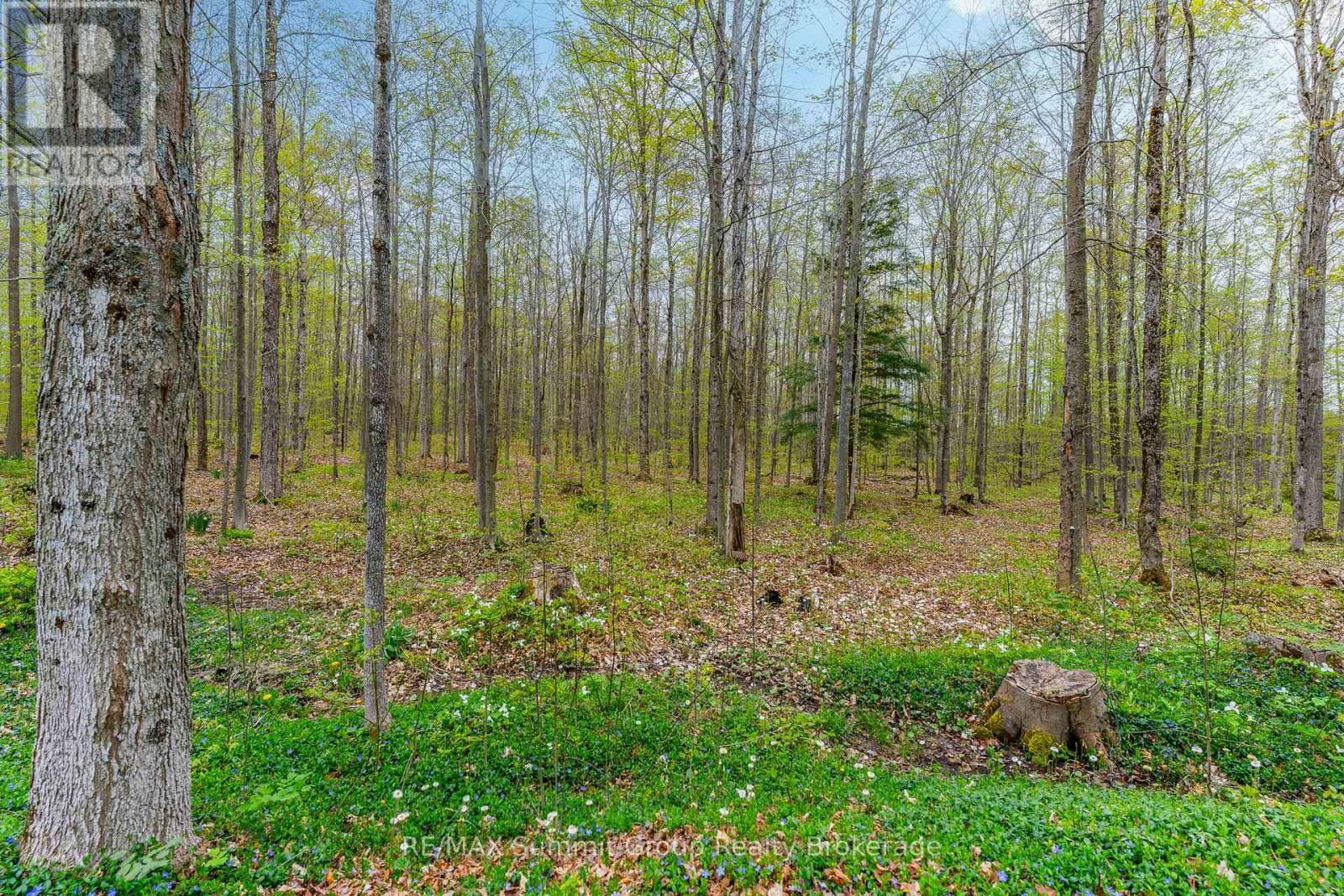 494119 BAPTIST CHURCH ROAD Image 39