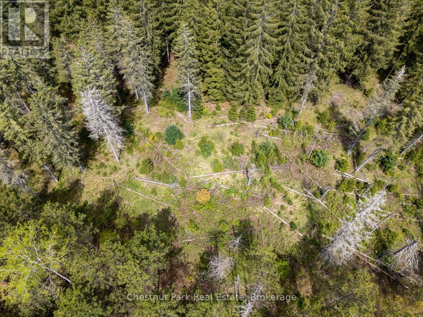 PT LT 24 4TH LINE EAST Image 18