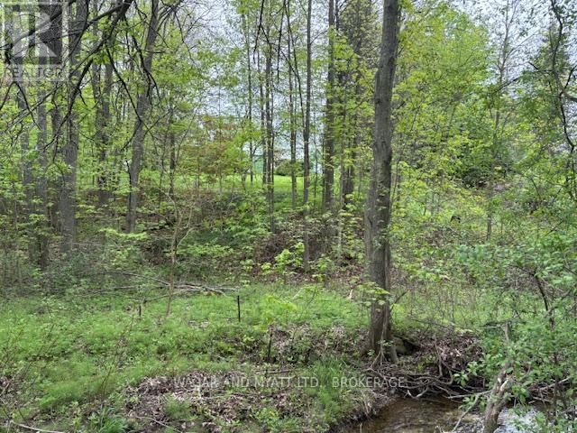 62-1 COUNTY ROAD 8 ROAD NORTH Image 19