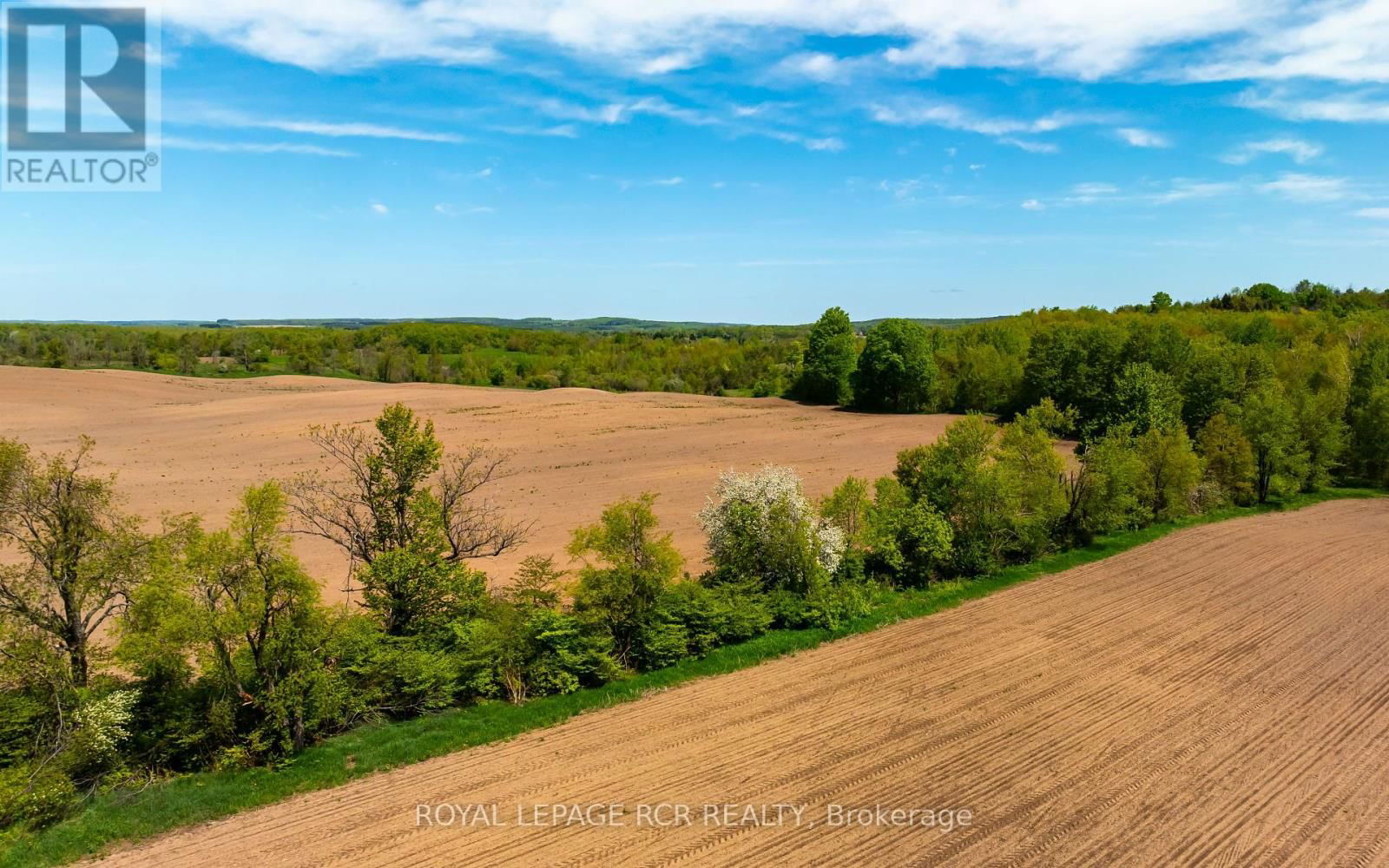 555463 MONO-AMARANTH TOWNLINE Image 15