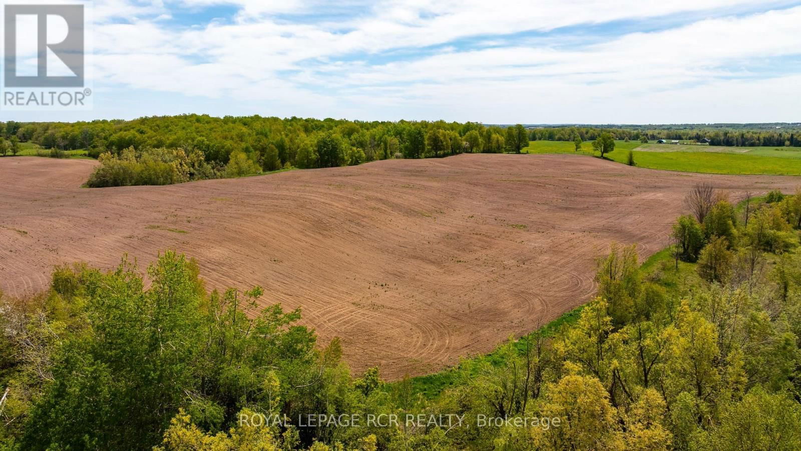 555463 MONO-AMARANTH TOWNLINE Image 18