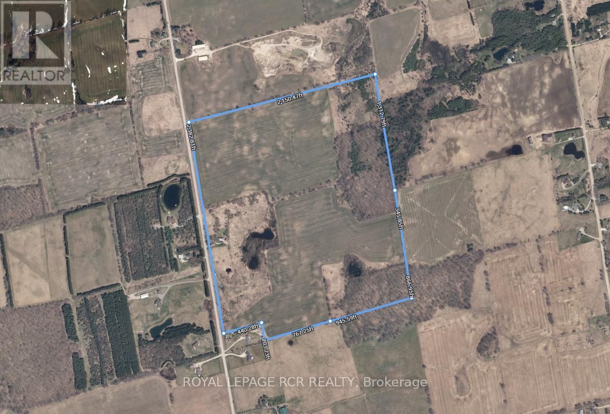 555463 MONO-AMARANTH TOWNLINE Image 24