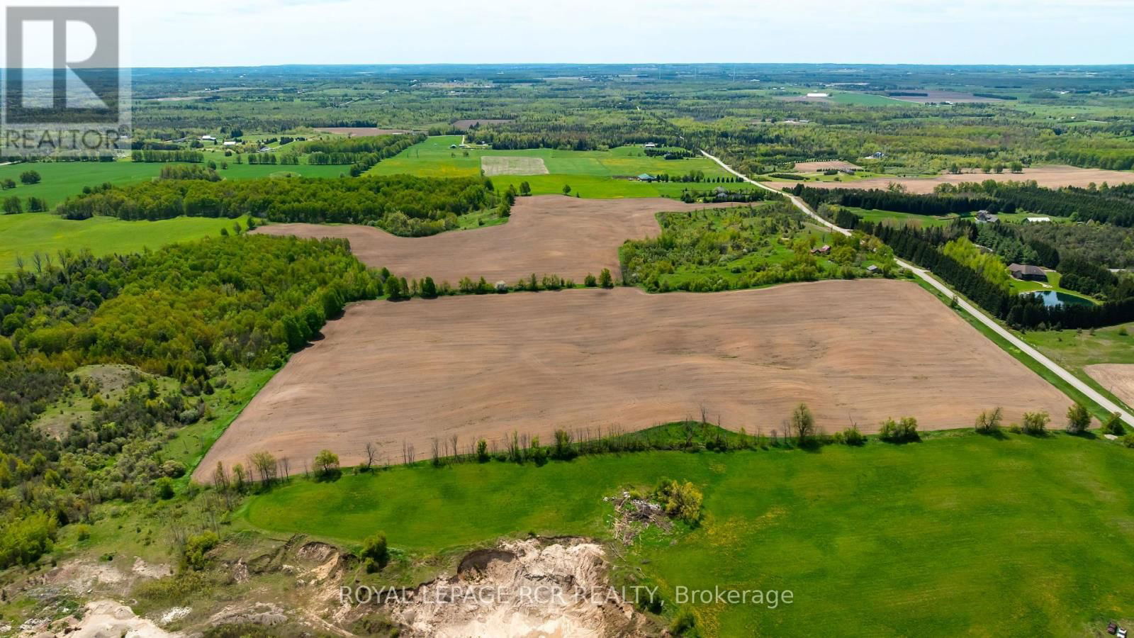 555463 MONO-AMARANTH TOWNLINE Image 5