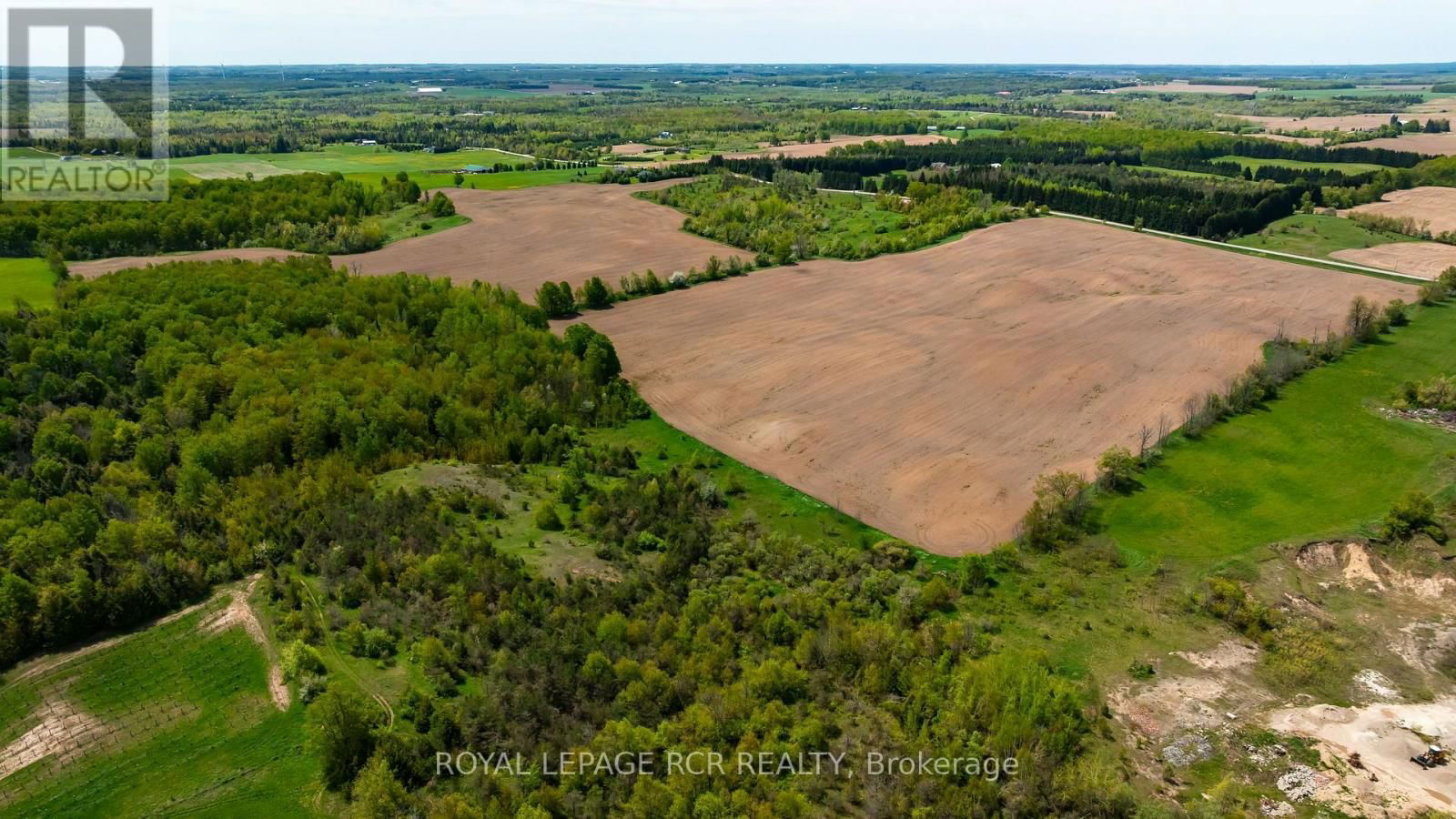 555463 MONO-AMARANTH TOWNLINE Image 6