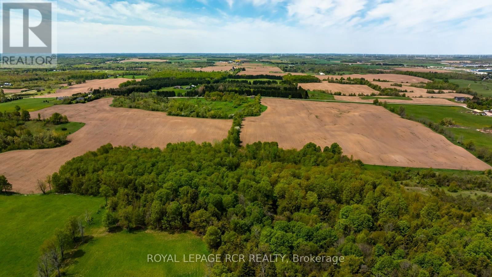 555463 MONO-AMARANTH TOWNLINE Image 8