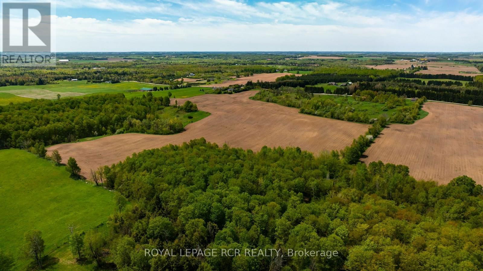 555463 MONO-AMARANTH TOWNLINE Image 9