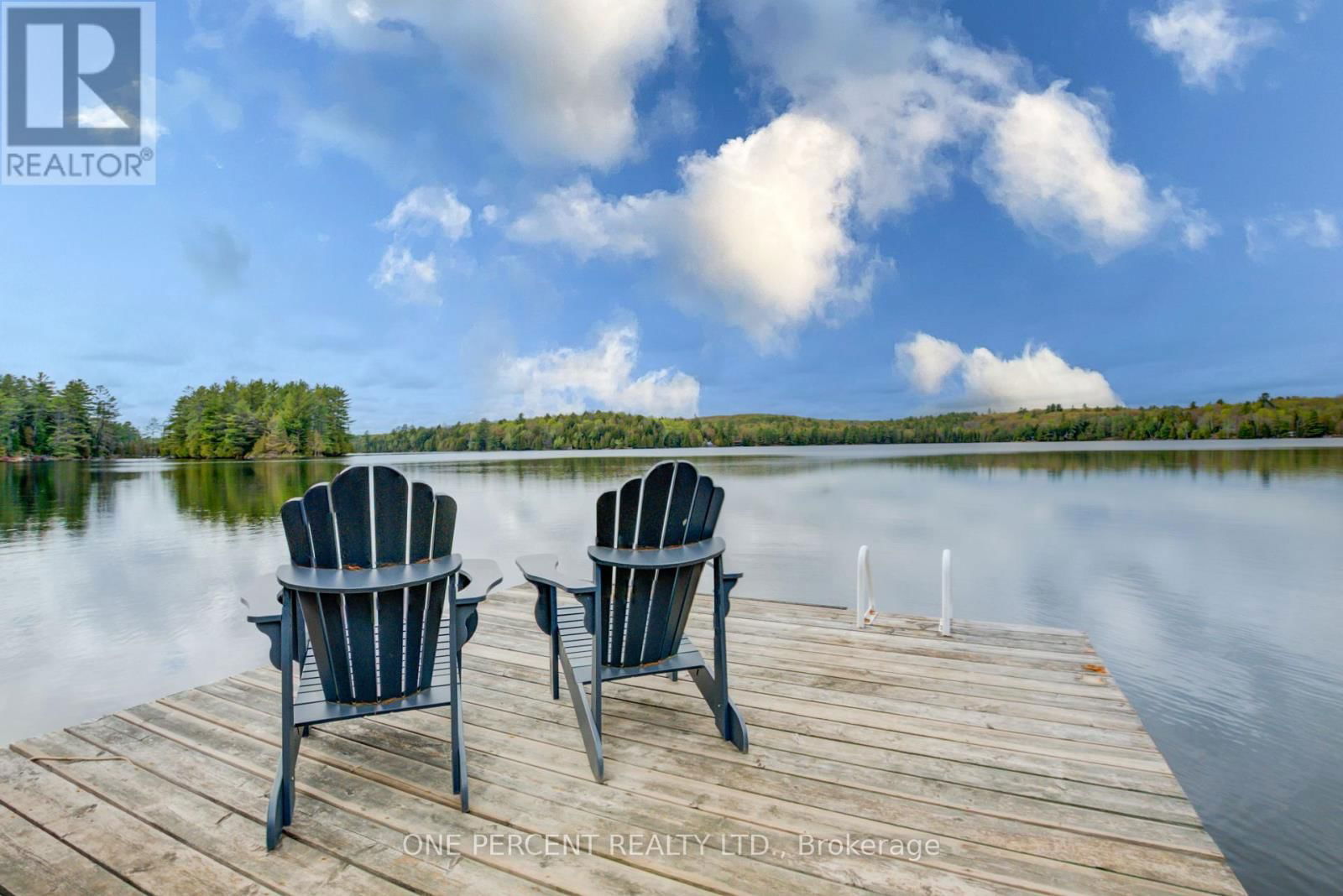 1105 LAKESHORE ROAD Image 4