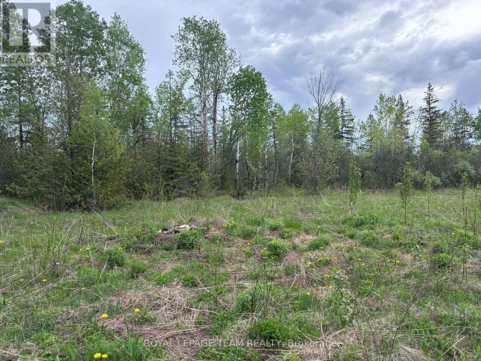 Primary Property View