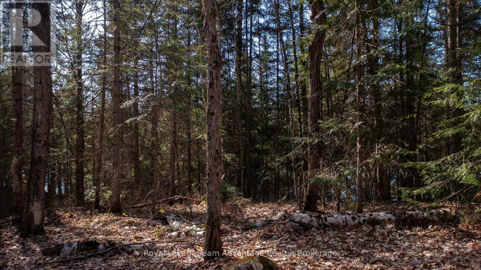 Lot 2 GREENWOOD WAY Image 14