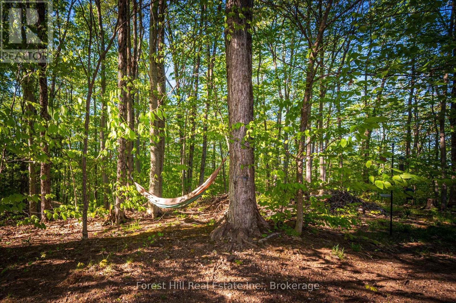 917 PORTAGE ROAD Image 36