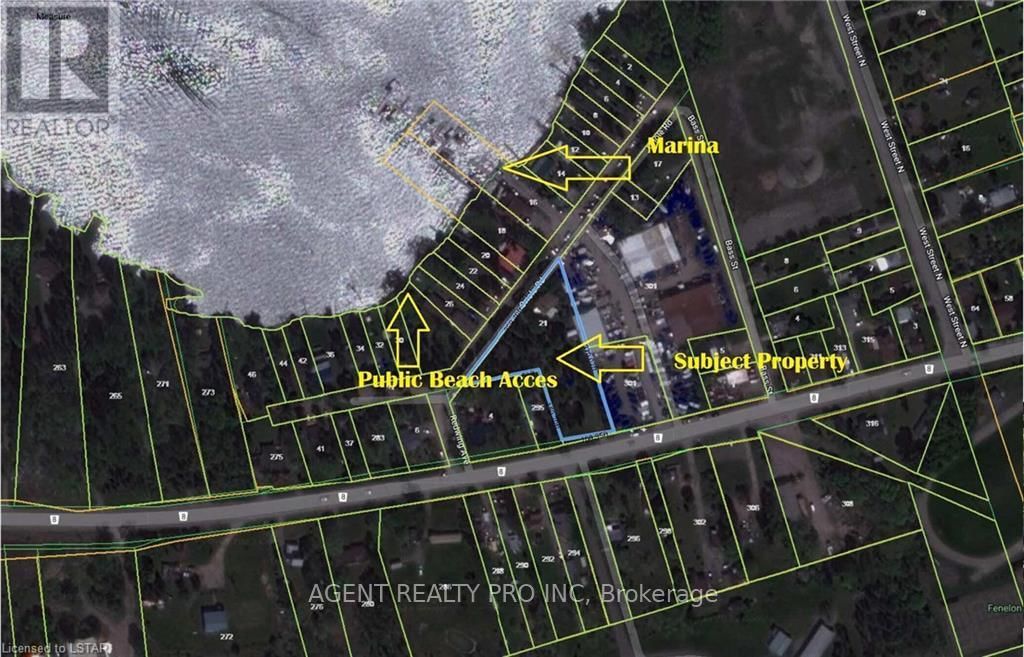 21 ORIOLE ROAD Image 4
