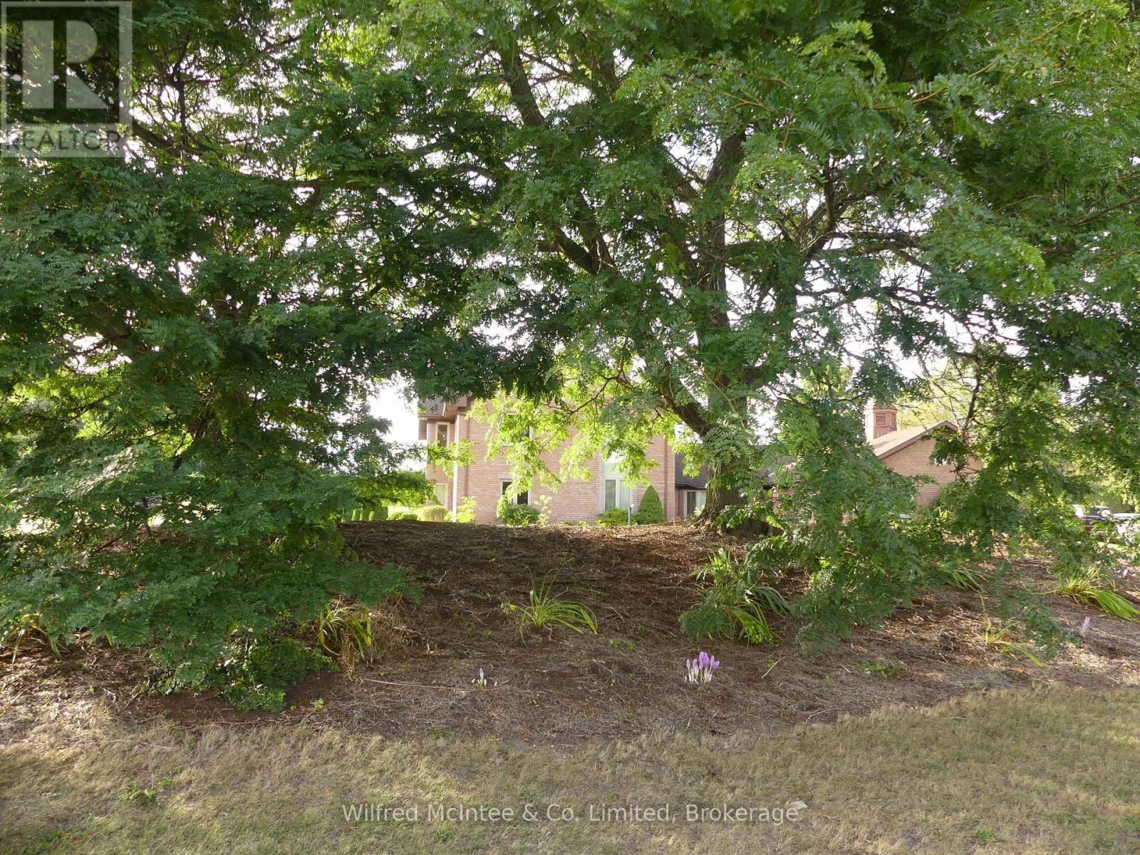 75 MARY STREET Image 48