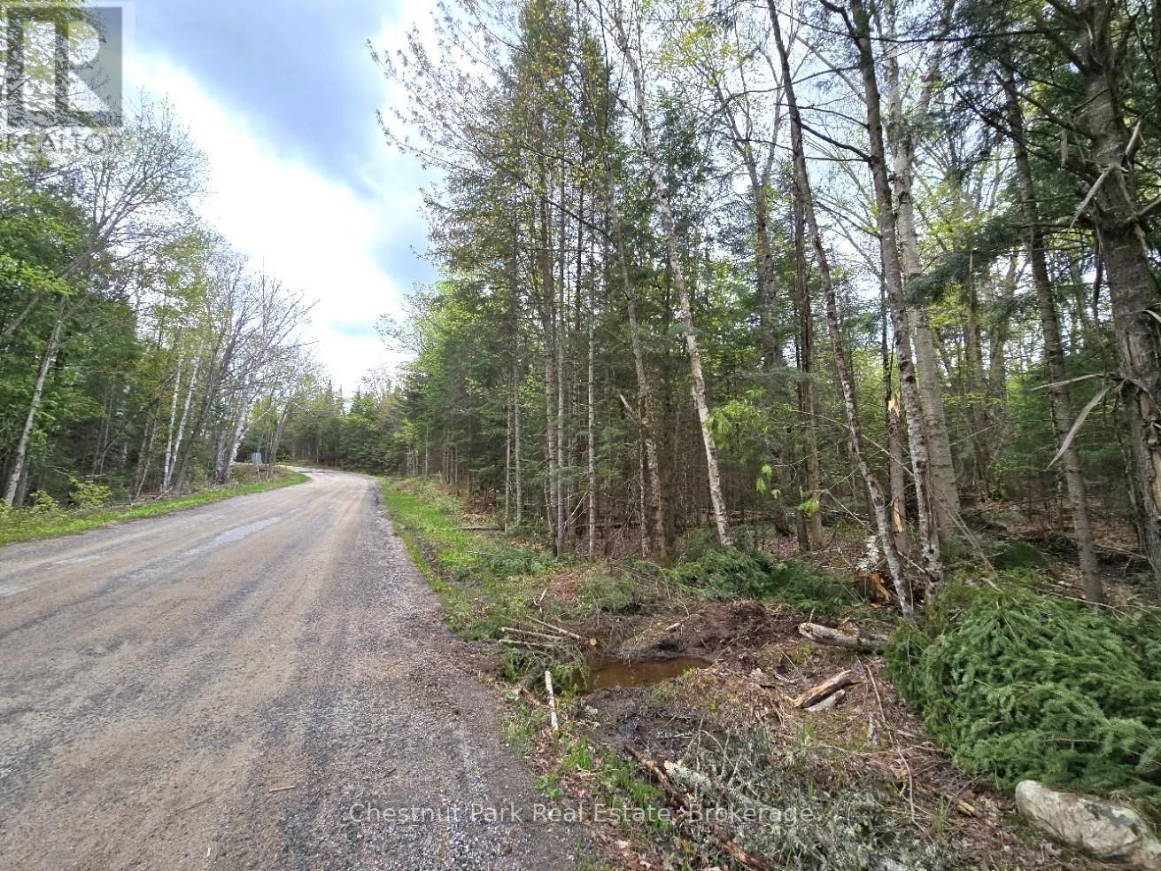 Part 6 ECHO RIDGE ROAD Image 1