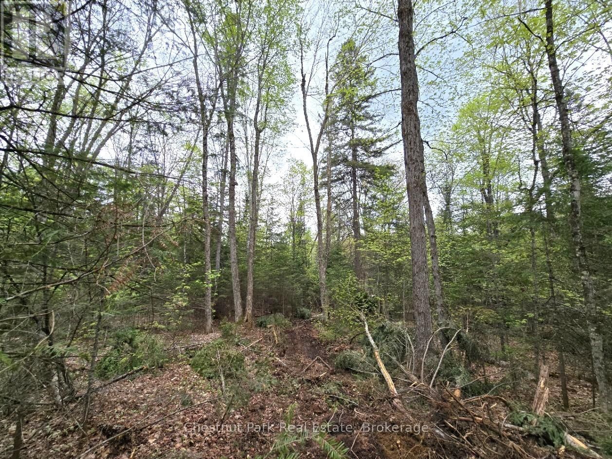 Part 6 ECHO RIDGE ROAD Image 10