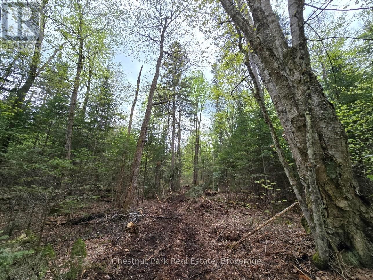 Part 6 ECHO RIDGE ROAD Image 11